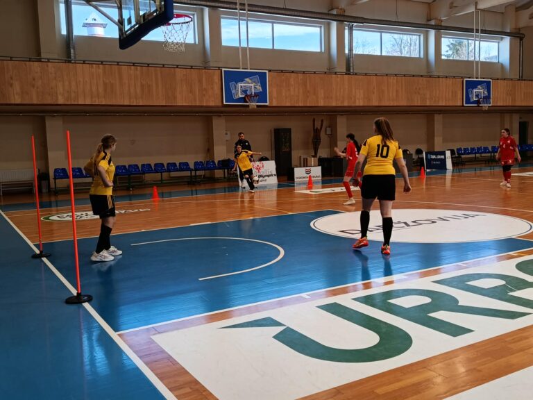 Salės futbolo čempionatas